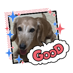 ringo_20210504113840