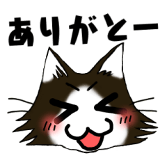 Cute Cats Greeting Stickers