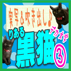 ★吹き出し＆実写版★2匹の黒猫③デカ文字!
