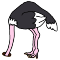 dako of the ostrich