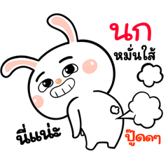 I'm Nok Rabbit cute Sticker V.1