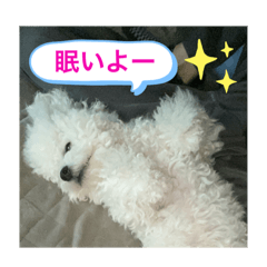 hikari_20210504140118