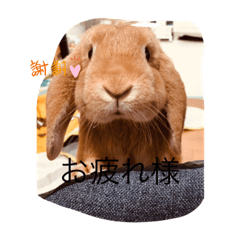 yuina_20210504135509