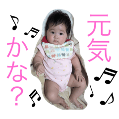 yuzuki-san