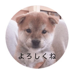 tomomi_20210504142512