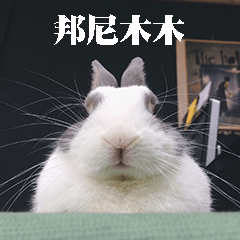 Bunny Mumu (Chinese)