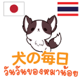 犬の毎日 日本語タイ語