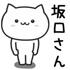 Cat For SAKAGUCHI