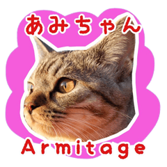 Tabby Cat Armitage-Amichan