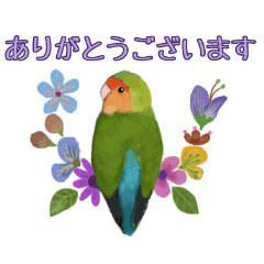 kikiの小鳥スタンプ・イラスト編２