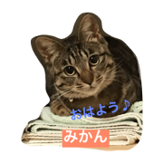 My name is mikan.