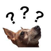 Minpin's Talk 10