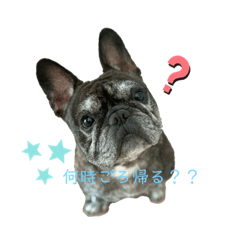 mimi_20210504180901