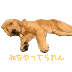 riho_20210504204457