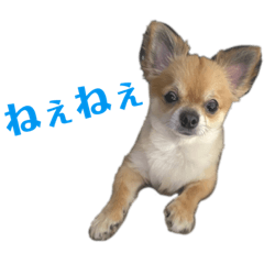 Hikari_20210504235511