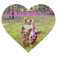 yukari_20210504235222