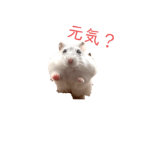 Chie_20210504182256