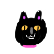black cat  kiyosi