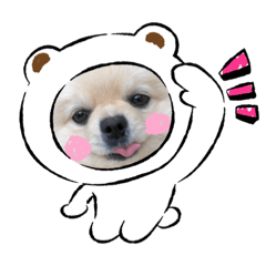 yun_20210504184510