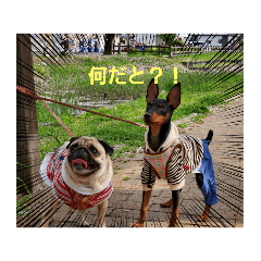 yukari_20210504222433