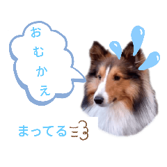 saya_20210504225140