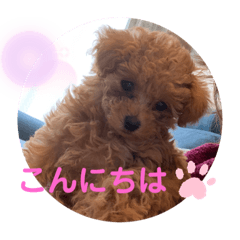 cocoa_20210505003352