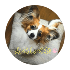 Papillon family stickers