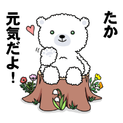 Cotton bear(Taka)