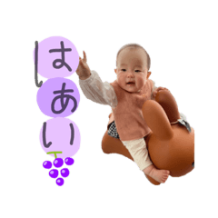 cherry_20210505132702