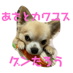 mishelu_20210505124921