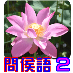Flowers - 4 Lotus [Chinese version]