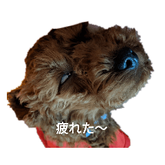 panda_20210505110702