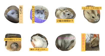 hamuhamuhamu