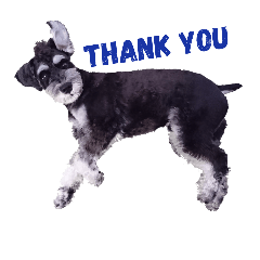 シュナのマリブくん Line スタンプ Line Store