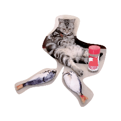 Nataree_20210504155940