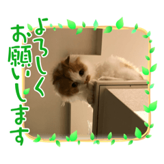 miki_20210505144201