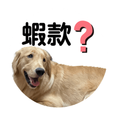 Poki生活-第四季