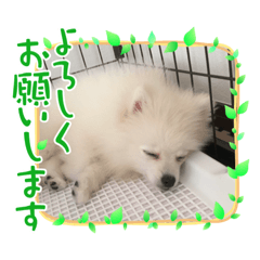 ken_20210505201815