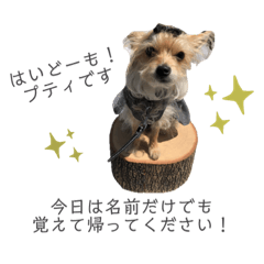 Saya_20210505235205