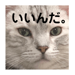 suzu_20210506015838