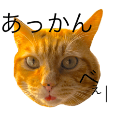 茶々丸くん。スタンプ