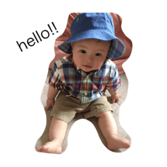 daidai