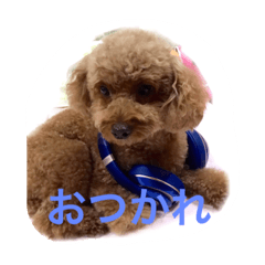 korokoron