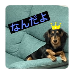 yamada_20210505175256