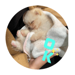 yamada_20210505205406