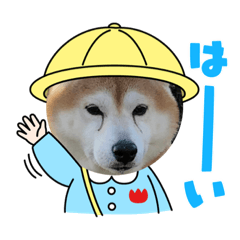 tomomi_20210505211416