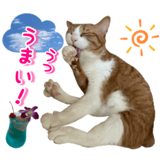 HIKARI_20210505220700