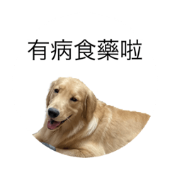 BuBu&Poki-香港篇2