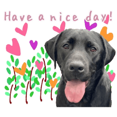 ラブラドール Lineクリエイターズスタンプまとめ Stamplist ラブラドール Lineクリエイターズスタンプまとめ Stamplist