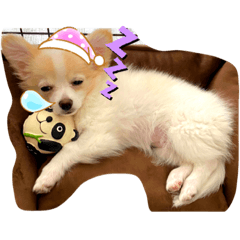 HANA_20210506112830